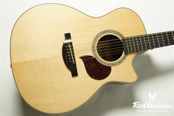 F130-GA Sitka Spruce / Indian Rosewood